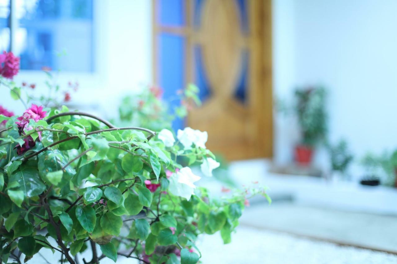 Moodhu Surf House Hotel Himmafushi Exterior photo